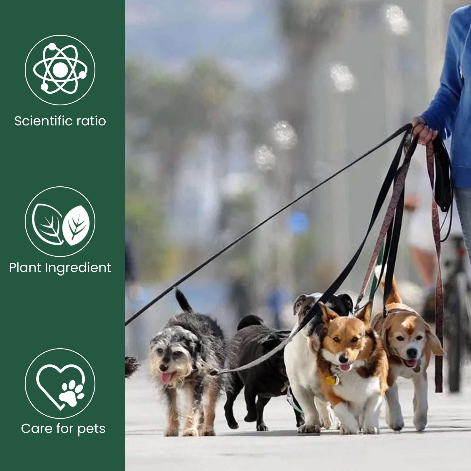 Pet Multivitamin Health Drops – Boost Immunity, Oral Care & Digestive Support for Dogs & Cats