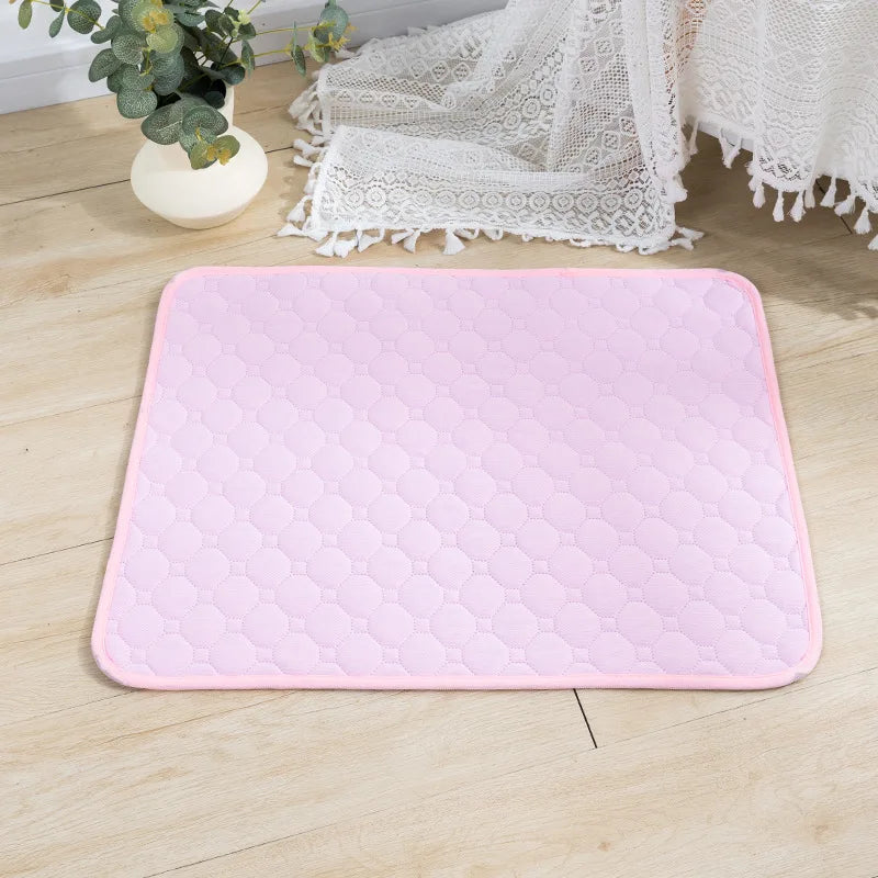 Reusable Dog Pee Pad Blanket – Washable Absorbent Puppy Training Pad & Pet Bed Urine Mat for Car Seat Protection