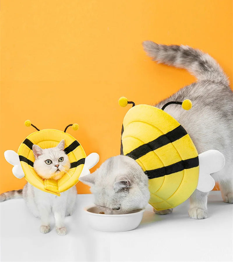 🩺 Pet Elizabethan Collar – Soft Recovery Cone for Cats & Small Dogs 🐶🐱