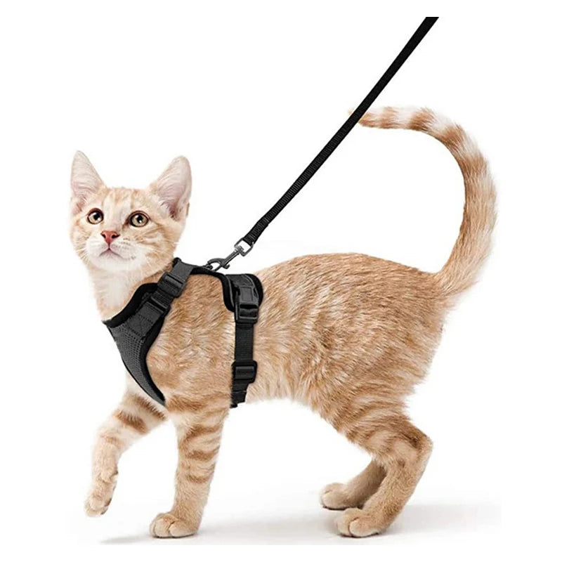 Cat Harness and Leash – Escape-Proof Soft Adjustable Vest with Easy Control