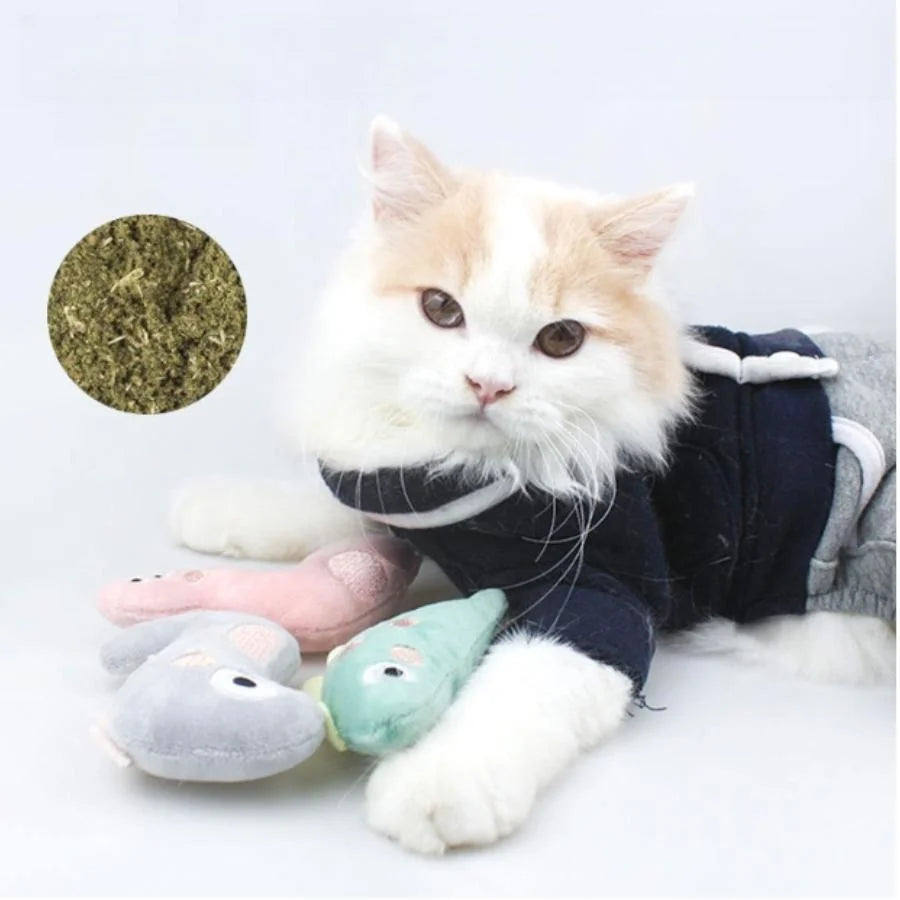 Cartoon Plush Cat Molar Bite Toy – Interactive Chew Toy for Cats