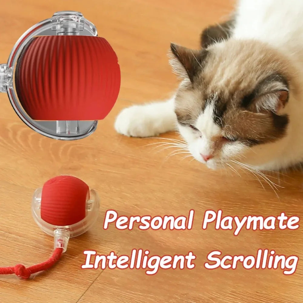 Smart Rolling Cat Toy – Rechargeable Ball with Faux Tail & Mouse Simulation
