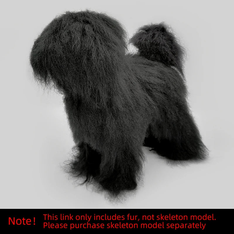 🐩 Pet Grooming Practice Model Dog – Full-Body Simulation Teddy with Realistic Synthetic Hair ✂️💇‍♀️