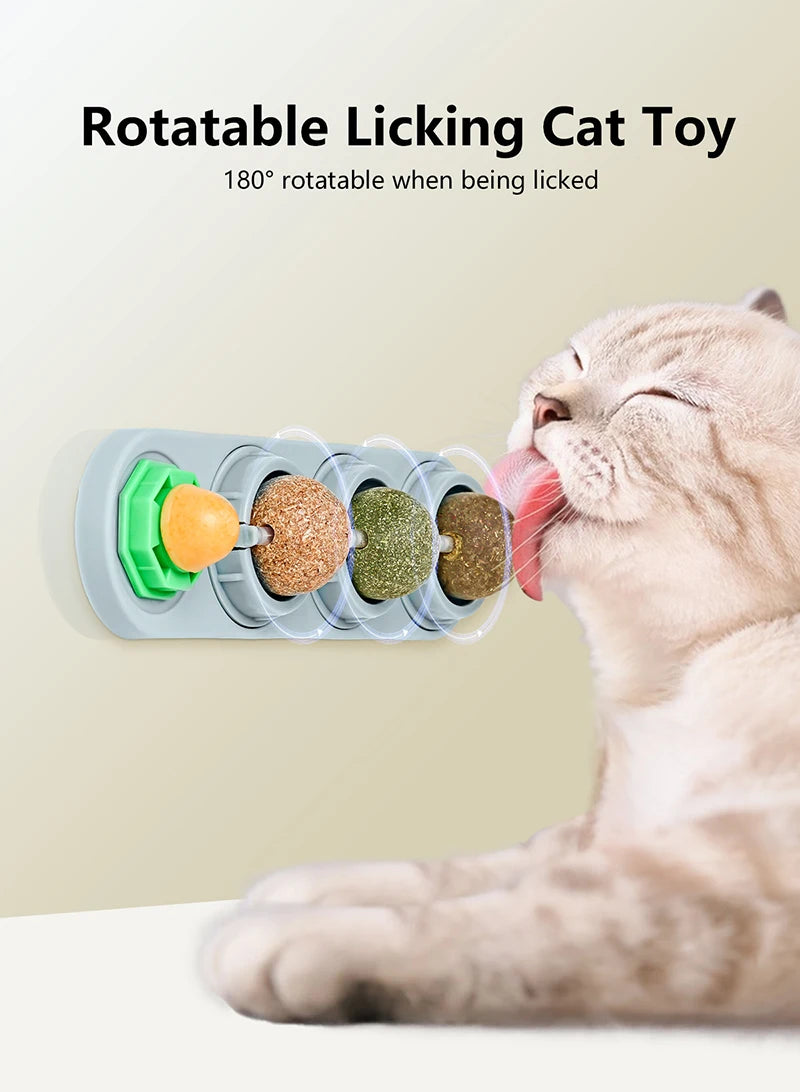 Catnip Silvervine Balls – Edible Wall Chew Toys for Dental & Energy Boost