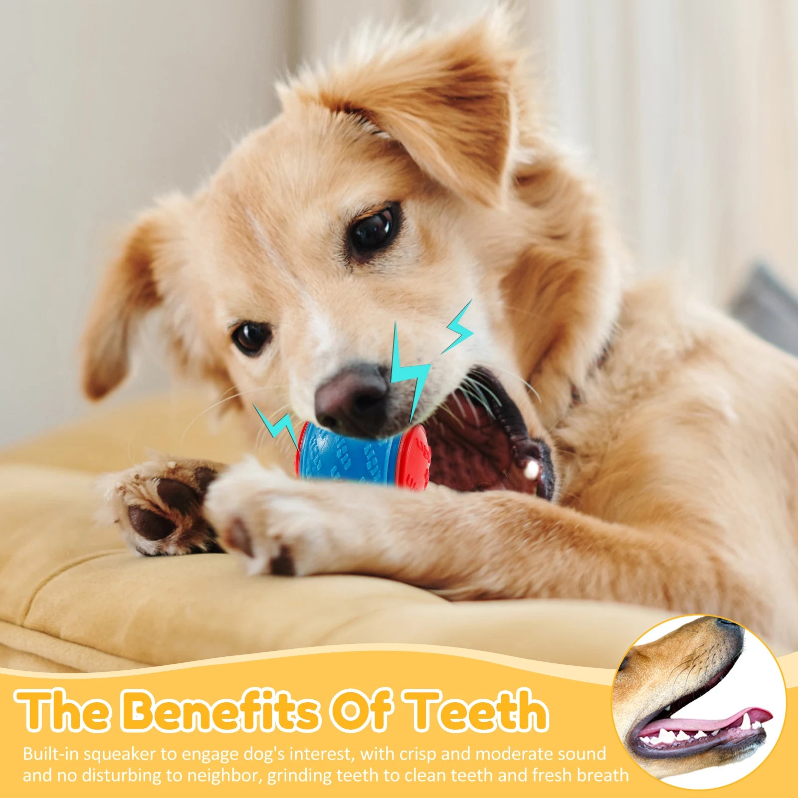 6PCS Squeaky Dog Balls – Interactive TPR Chew Toys for Dogs, Bite-Resistant & Teeth Cleaning Pet Toys