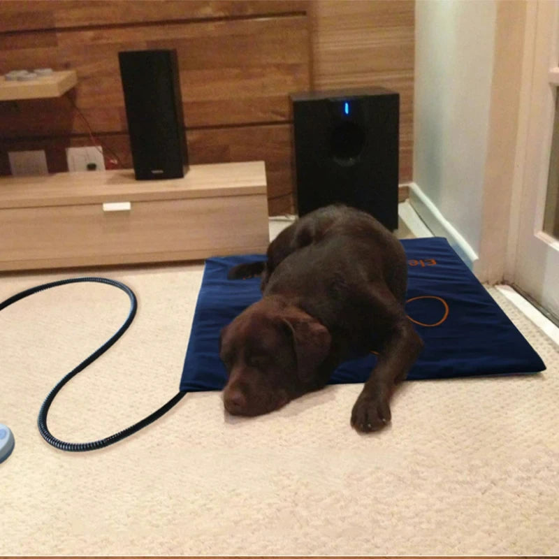 Waterproof Electric Pet Heating Pad – Adjustable Temperature Winter Warmer Blanket for Dogs & Cats