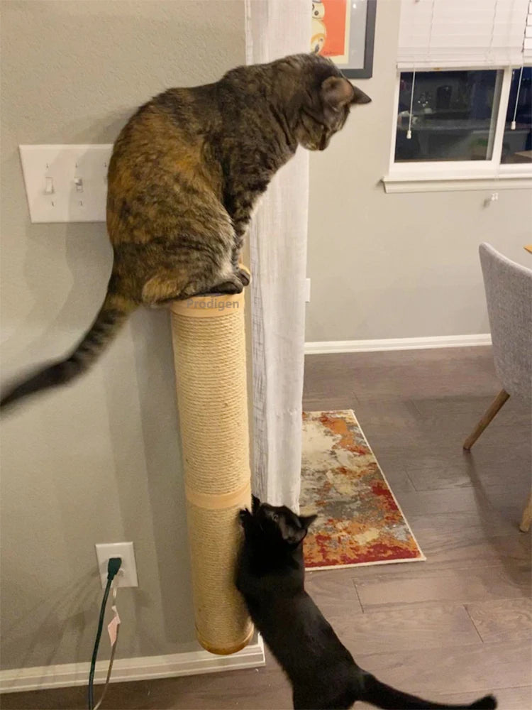 🐾 Wall-Mounted Cat Scratching Post – Wooden Kitten Tree with Thick Columns for Large Cats