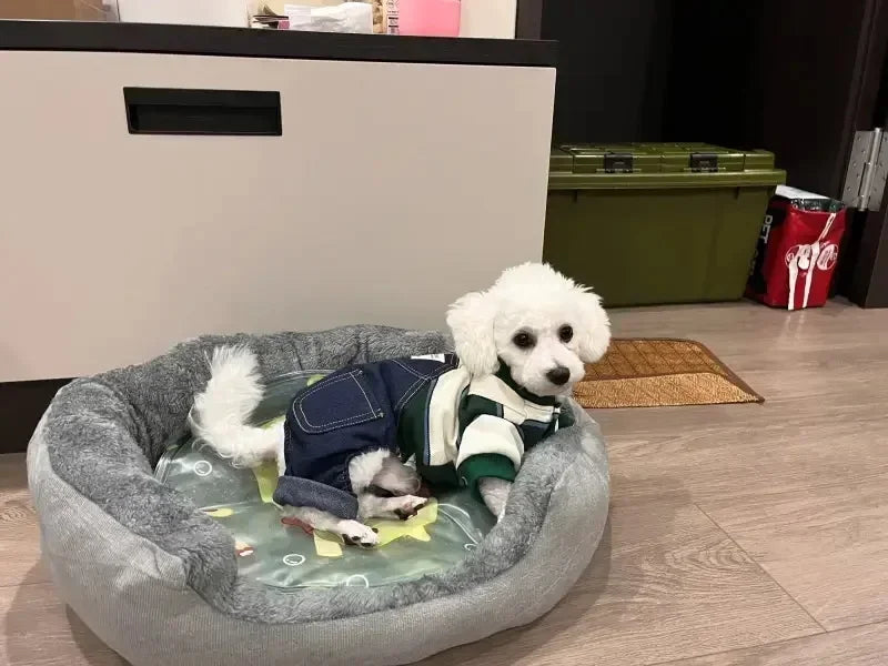 Very Soft Warm Dog Bed Sofa – Cozy Pet Basket for Medium & Large Dogs & Cats