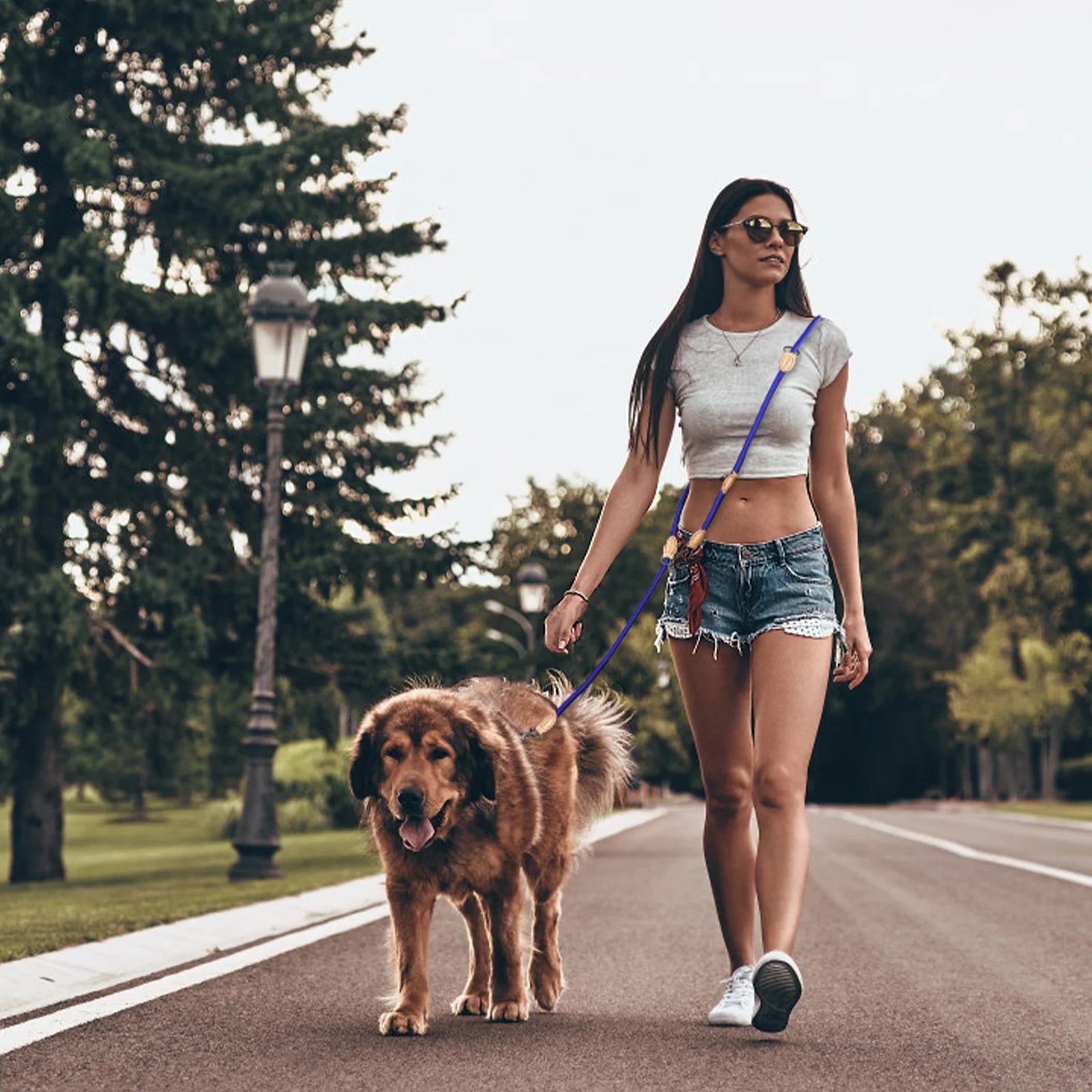 🐕‍🦺 210cm Multipurpose Adjustable Double Dog Leash – Hands-Free Luxury Nylon Leash for 2 Small/Medium Dogs