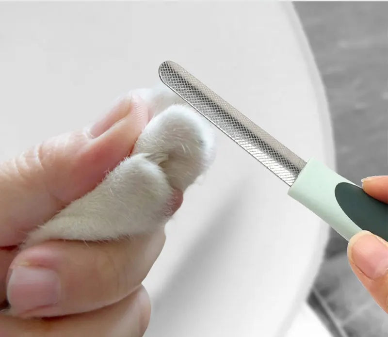 🐾 8-in-1 Dog & Cat Grooming Comb Set – All-in-One Pet Cleaning & Hair Removal Brush Kit