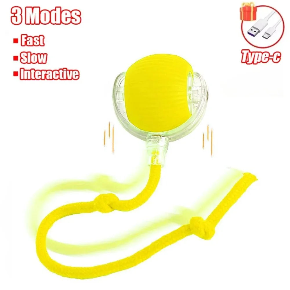 Smart Rolling Cat Toy – Rechargeable Ball with Faux Tail & Mouse Simulation