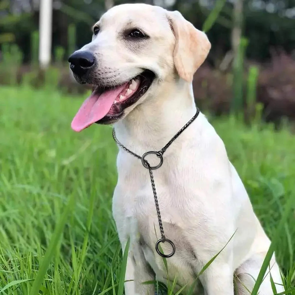 Dog Snake Chain Choke Collar – Metal Slip P Chain for Training & Walking