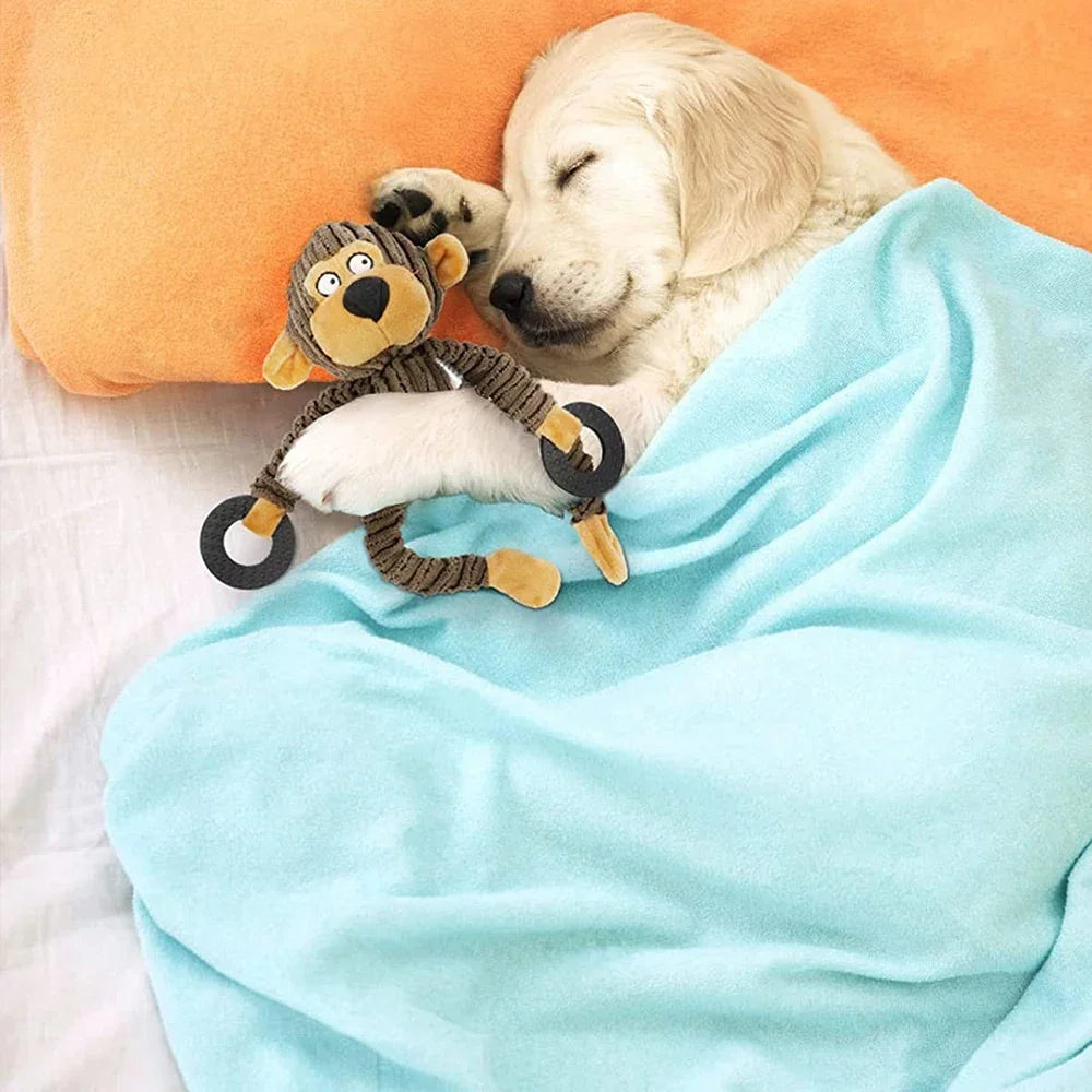 Monkey Plush Puppy Toy – Squeaky Chew & Training Toy for Small Dogs 🐵🐶