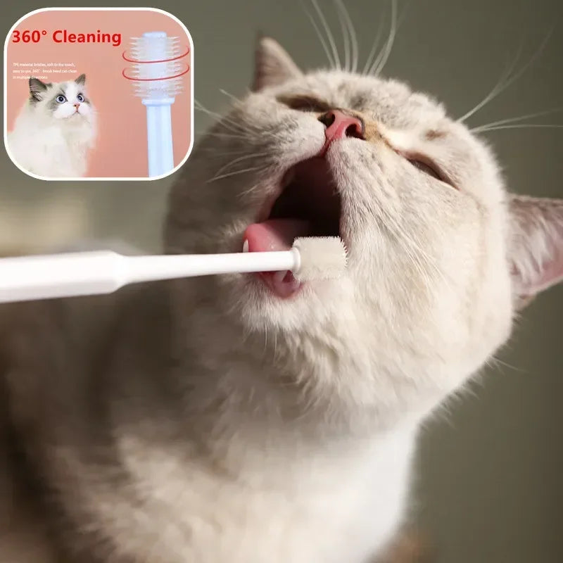 🪥 Cat Toothbrush – Soft Bristles for Gentle Teeth Cleaning | Pet Dental Care Grooming Tool