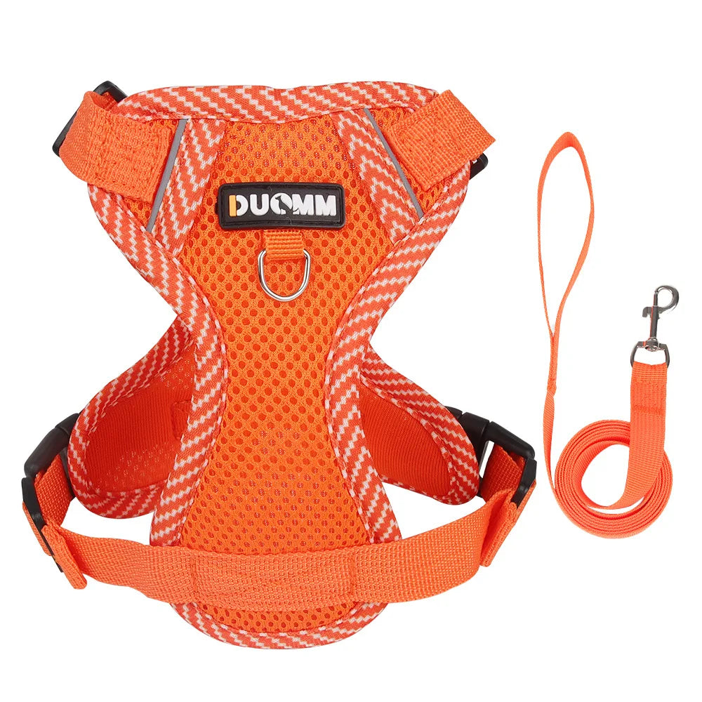 🐾 Fashion Reflective Cat Harness & Leash Set – Breathable Mesh for Cats & Small Dogs