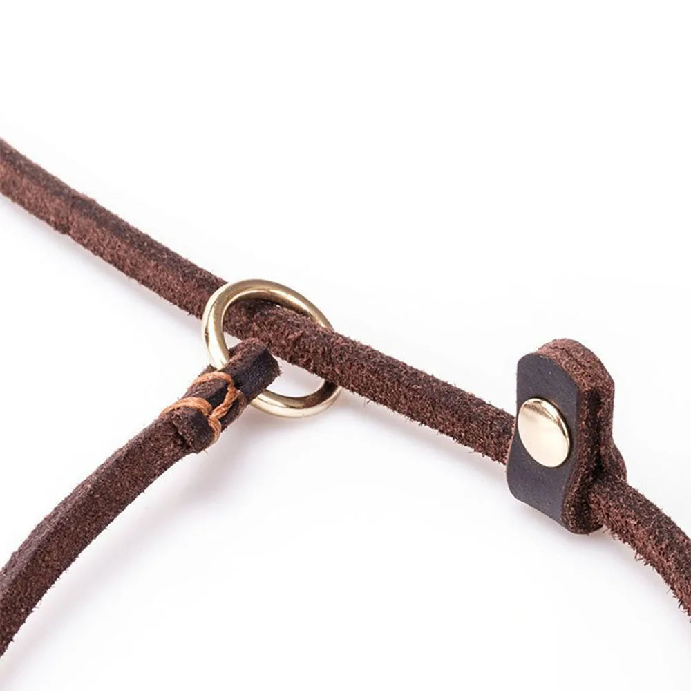 🐶 Soft Slim Genuine Leather Dog Slip Lead – No-Pull Training Control Leash for Small Dogs