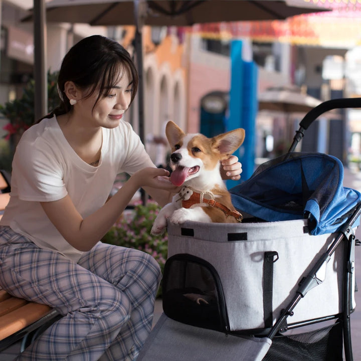 Durable Pet Trolley Carrier with Wheels – Travel Stroller for Small Pets