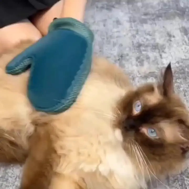 2-in-1 Cat Hair Glove & Pet Fur Remover – Grooming Glove Brush for Shedding