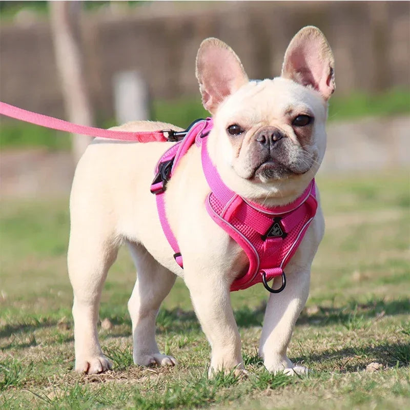 🐾 No Pull Dog Harness & Leash Set – Reflective Adjustable Mesh Vest for Small Dogs & Cats