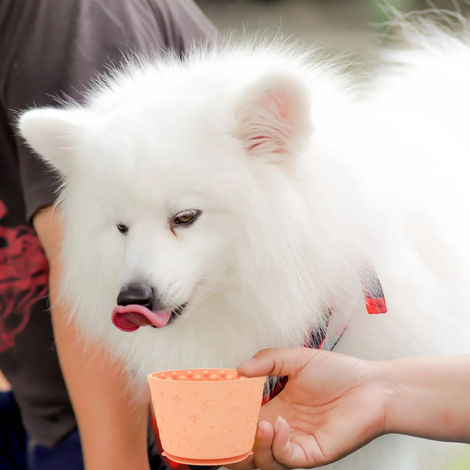 Dog Licking Mat Bowl – Anxiety Relief Slow Feeder Treat Dispenser, Freezer-Safe & Non-Slip Silicone Mat for Dogs