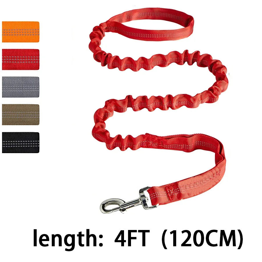 Bungee Dog Leash for Large Dogs – Heavy Duty, Shock-Absorbing, No-Pull Lead