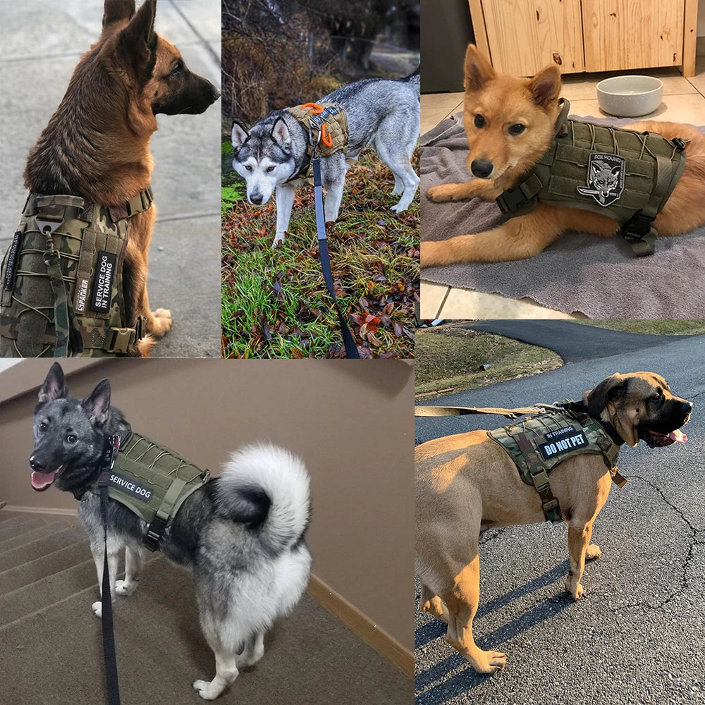 Tactical Dog Harness, Leash & Collar Set – Adjustable Military Pet Vest for Medium & Large Dogs