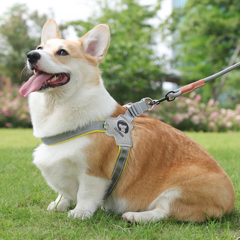 🐶 Adjustable Reflective Mesh Dog Harness – Pet Vest for Small & Large Dogs and Cats