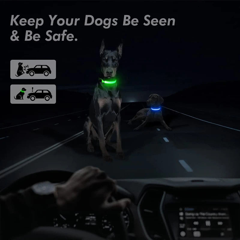 USB Rechargeable LED Glowing Pet Collar – Adjustable Night Light Safety Collar for Dogs & Cats