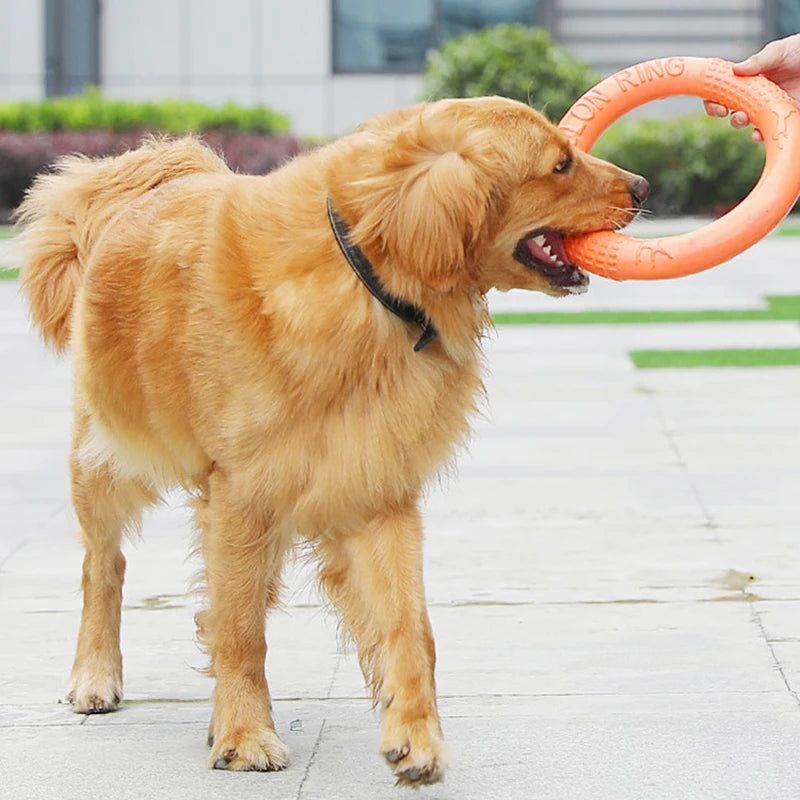 EVA Dog Training Ring Puller – Orange Interactive Flying Disk Toy for Dogs