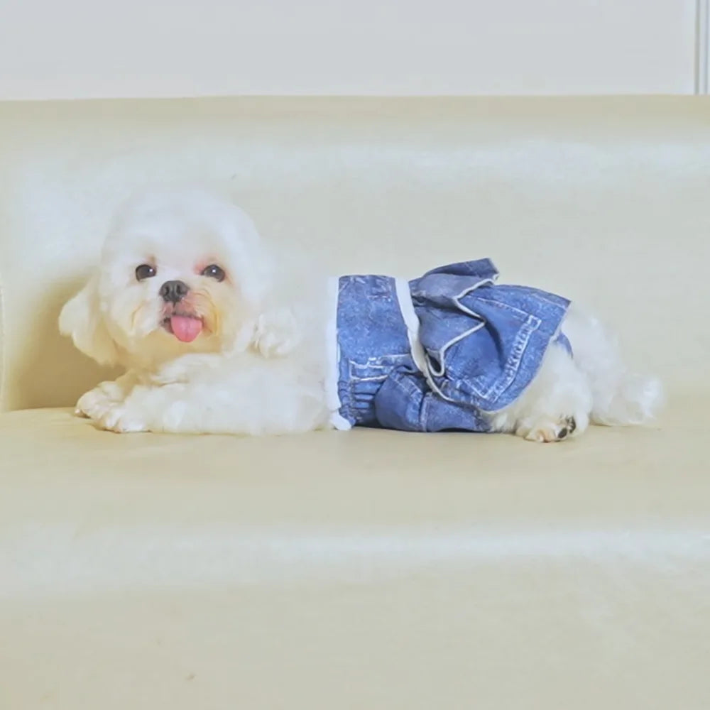 Reusable Female Dog Diapers – Washable, Highly Absorbent Doggie Diaper Shorts for Girl Dogs in Heat & Incontinence