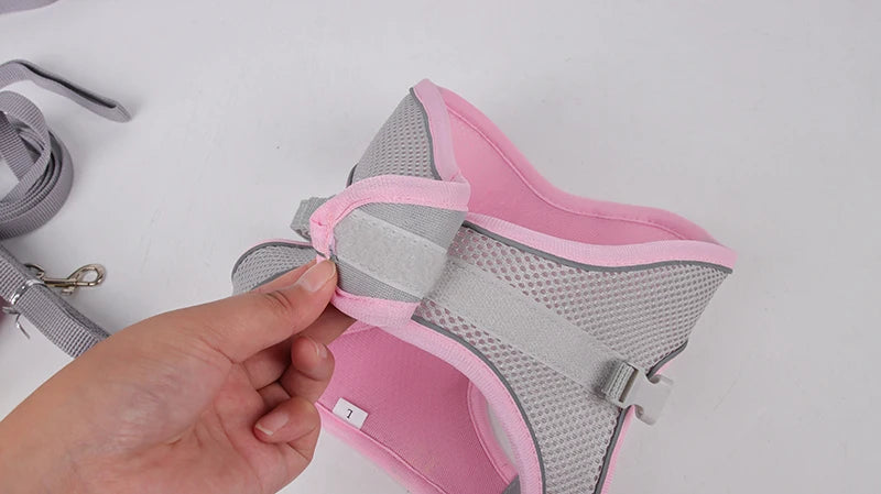 🐾 Adjustable Dog Harness & Leash Set – For Small Dogs, Cats, French Bulldogs, Chihuahuas & Pugs