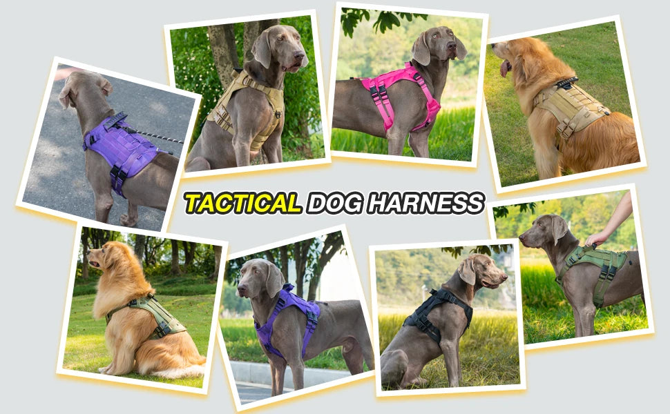 🛡️ Tactical Chest Strap Dog Harness – Heavy-Duty Outdoor Control for Large Dogs 🐕