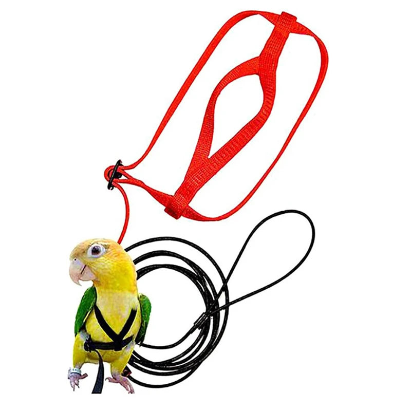 Bird Flying Training Leash – Anti-Bite Parrot Harness & Traction Rope