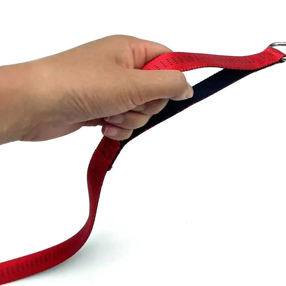 Dog Slip Lead Leash with Double Padded Handle – No Pull Training Lead with Choker Collar & Anti-Tangle Design