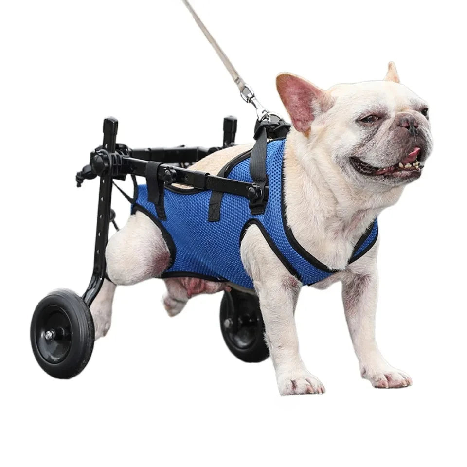 Adjustable Pet Wheelchair Cart – Mobility Aid with Wheels for Disabled Dogs and Cats