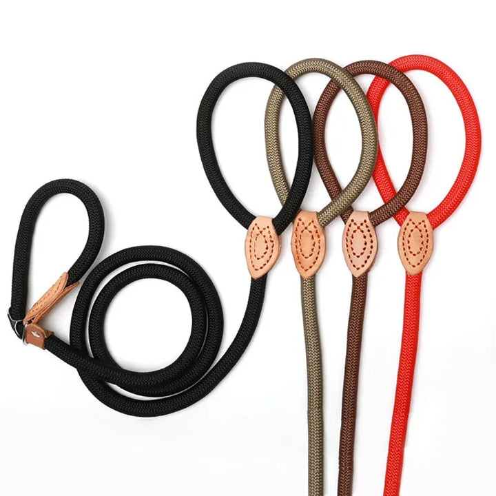 Heavy Duty Slip Rope Dog Leash – Braided Adjustable Training Lead with Loop Collar for Medium & Large Dogs