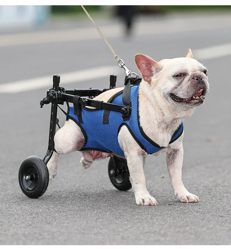 Adjustable Pet Wheelchair Cart – Mobility Aid with Wheels for Disabled Dogs and Cats