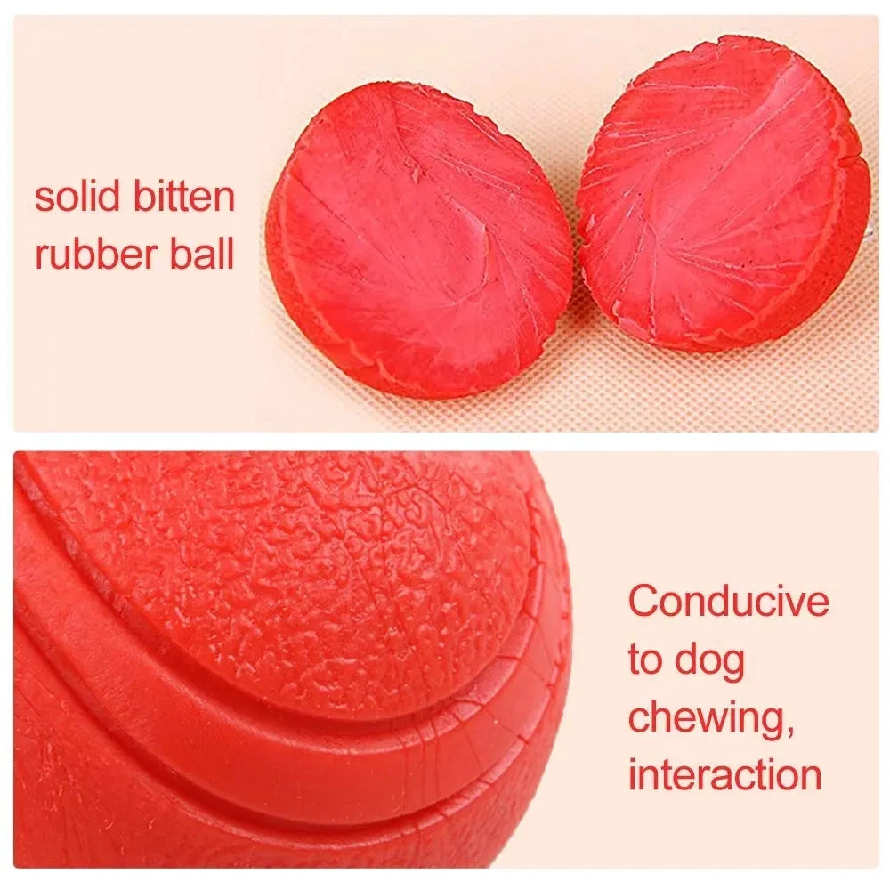 Indestructible Rubber Dog Ball – Chew-Proof Bouncy Toy (S–L Sizes)