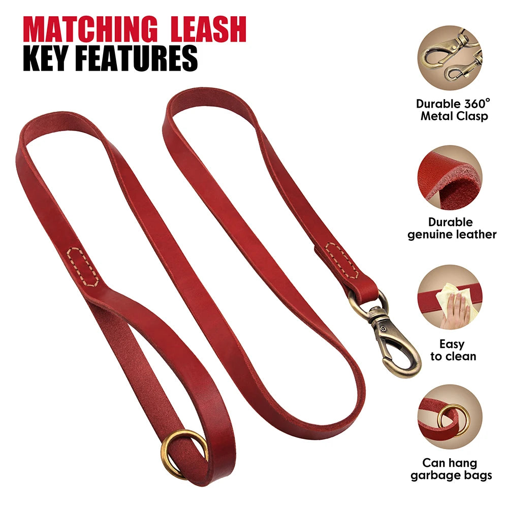 Personalized Leather Dog Collar & Leash Set – Engraved ID for Small to Large Dogs