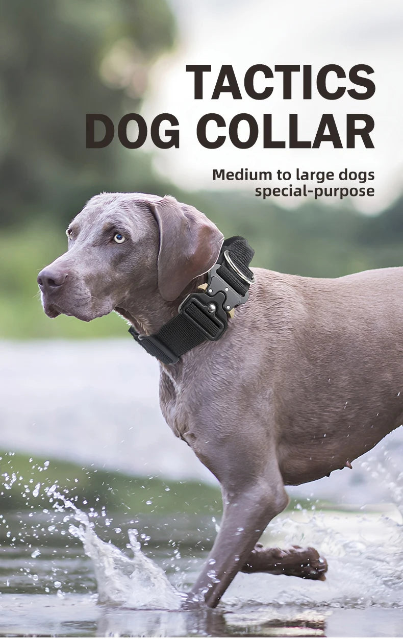 Tactical Dog Collar – Durable Outdoor Collar with Rugged Zinc Alloy Buckle & Soft Lining for Medium & Large Dogs