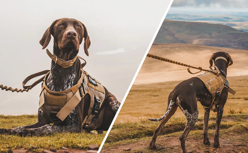 🐾 Tactical Military Dog Harness & Leash Set – All Breeds Training Vest for Outdoor Adventures