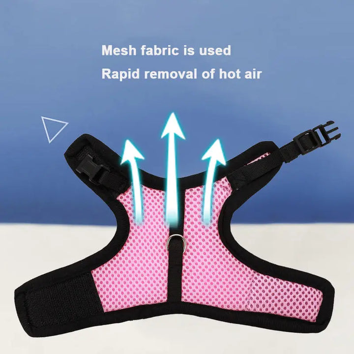 Breathable Pet Vest Harness & Leash Set – Adjustable for Rabbits & Small Pets