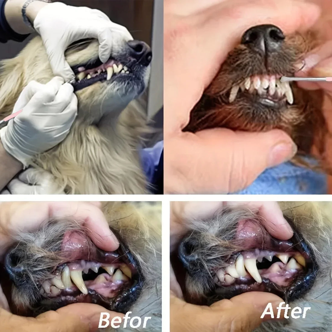 Double-Sided Pet Tartar Remover – Dog & Cat Teeth Cleaning Tool Toothbrush