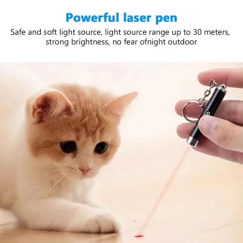 2-in-1 Mini Red Light Laser Pointer LED Torch – Cat & Dog Training Interactive Pet Toy Pen