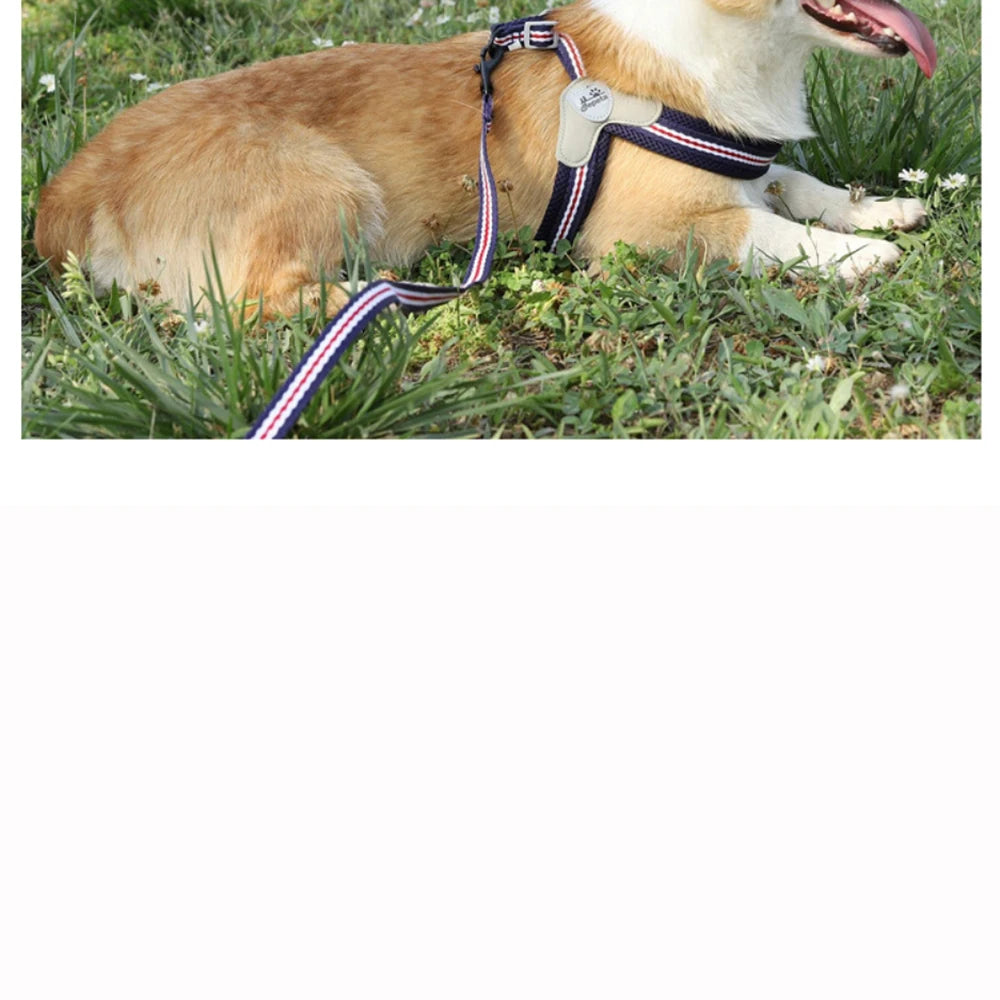 🐾 Vest Style Dog Harness & Leash Set – Adjustable Chest Strap for Small & Medium Dogs