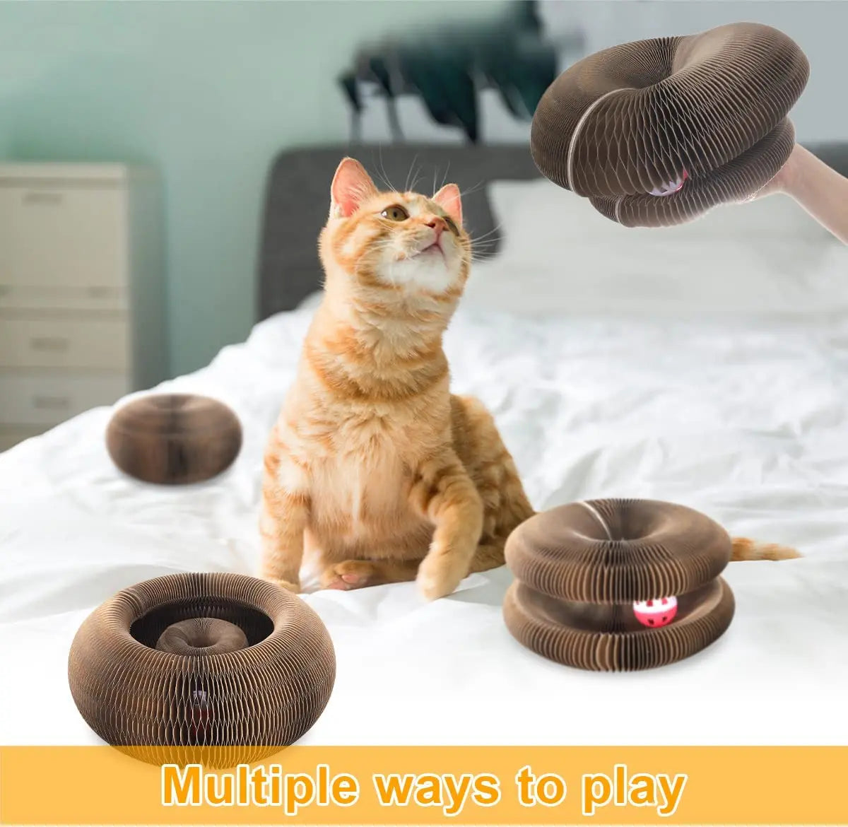 Magic Organ Cat Scratcher – Corrugated Round Claw Grinding Toy