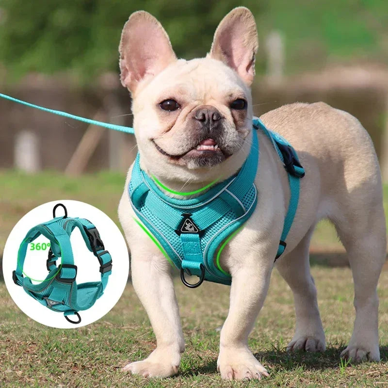 🐾 No Pull Dog Harness & Leash Set – Reflective Adjustable Mesh Vest for Small Dogs & Cats