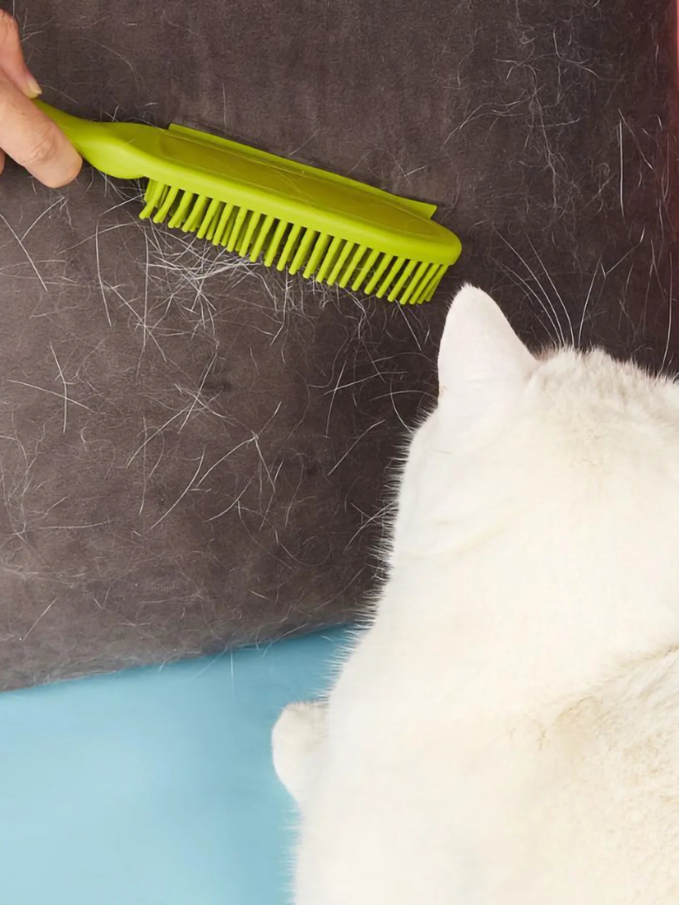 Pet Hair Removal & Bath Massage Brush – Floating Hair Cleaning Brush for Dogs & Cats