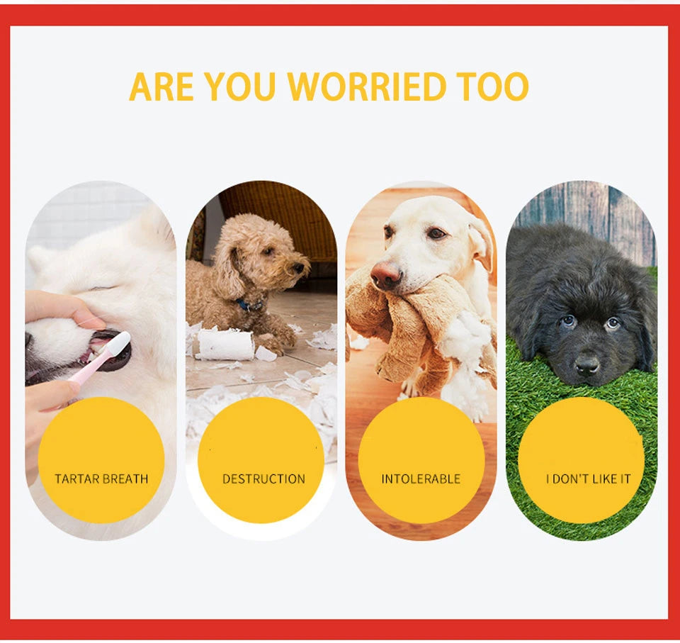 DualPet Strawberry-Shaped Dog Chew Toy – Durable Rubber Food Dispenser for Interactive Play