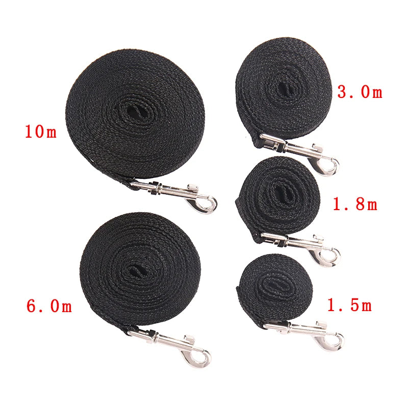 Long Strong Nylon Dog Leash – 10m,15m,20m Training Lead for All Dogs